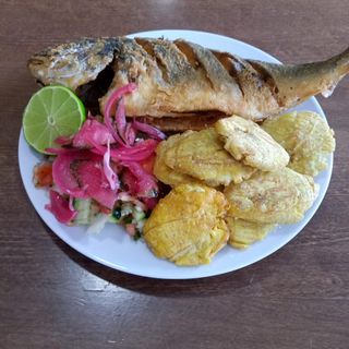 Dorada