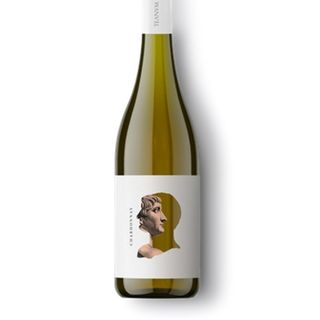 Teanum- Chardonnay