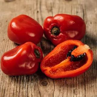 CREMA DE ROCOTO