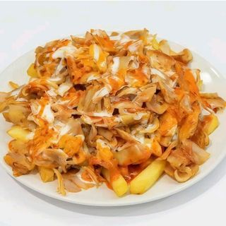 Plato kebab solo carne