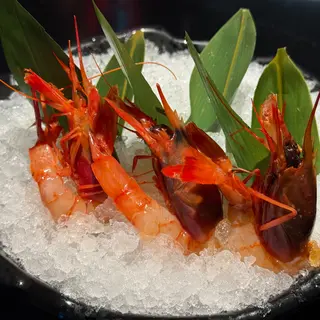 Sashimi Gamba Roja/6pz