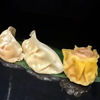 Gyoza Mixto