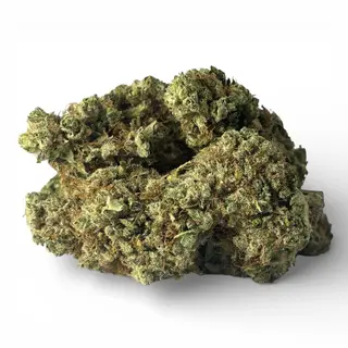Gelato Hidropónica CBD | 5 gr