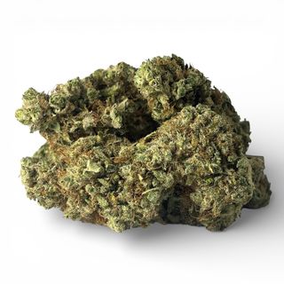 Gelato Hidropónica CBD | 5 gr