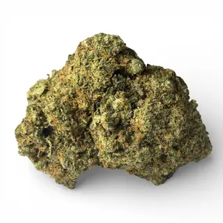 California Haze Hidropónica CBD | 5 gr