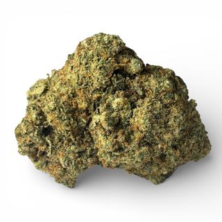 Somango Hidropónica CBD | 5 gr