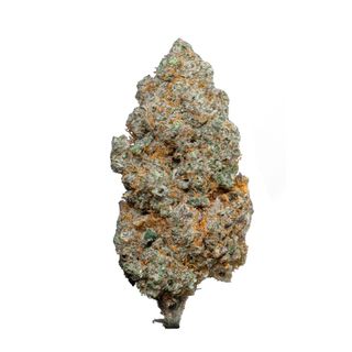White Widow Hidropónica | 10gr