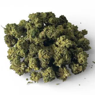Mini Buds Hawaiian Haze GreenHouse CBD | 10 gr
