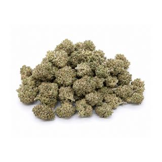 Mini Buds Orange Indoor Hidropónico CBD | 50 gr
