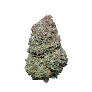 Orange Hidropónica | 10gr