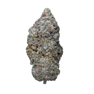 Legendary Skunk Hidropónica - 10gr