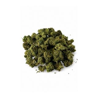 Mini Buds Hawaiian Haze GreenHouse CBD | 10 gr