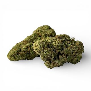 White Widow Indoor CBD | 10 gr