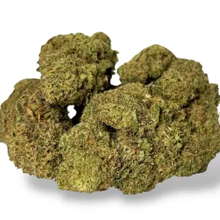 Moby Dick Indoor CBD | 10 gr
