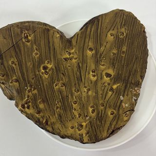 Palmera ferrero