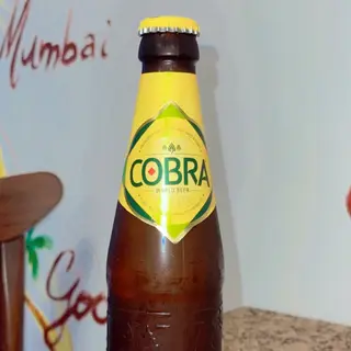 cobra indian beer