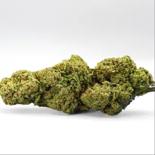 5g Pistacho Cream CBD 20%