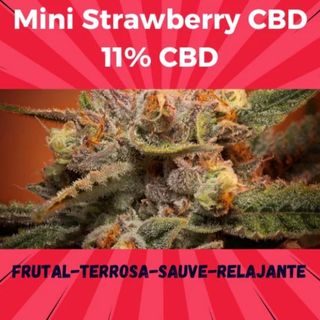 5g Mini Strawberry CBD 11%