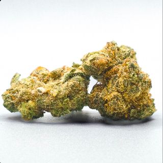 5g Cali Orange Gelatto x Nano9 CBD 82%