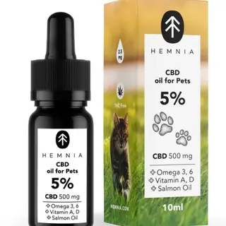 Hemnia Aceite de CBD en Aceite de Salmón 5 % – 500 mg CBD (10 ml) – Sin THC (ideal para gatos)