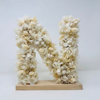 N en tonos blancos