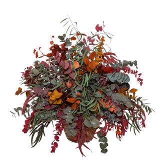 Belle Autumn