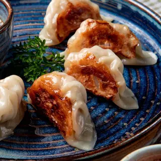 211 gyoza vegetal