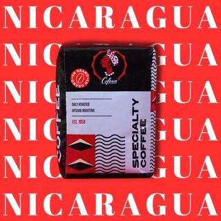 Nicaragua (Maragogype) | 1 Kg: 100 cafés