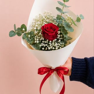 Rosa roja Romántica