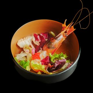 Alistado De Gamba