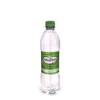 Agua Con Gas (500 Ml.)