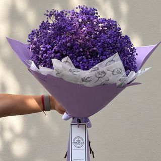 PANI VIOLET