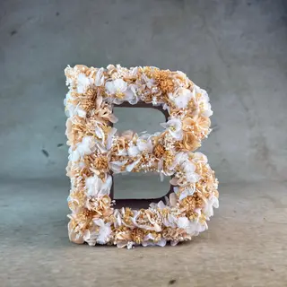 Letra Flores Preservadas "B"