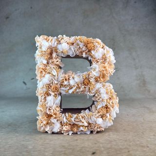 Letra Flores Preservadas "B"