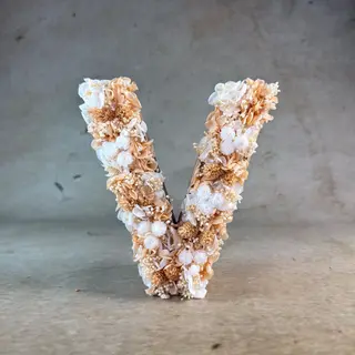 Letra Flores Preservadas "V"