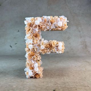 Letra Flores Preservadas "F"