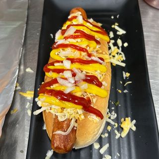 Perrito normal