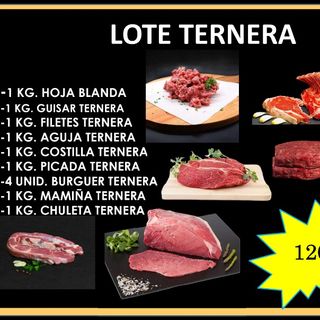 LOTE TODO TERNERA