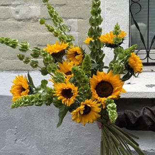 Ramo GIRASOL