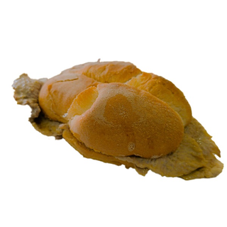 Bifana