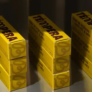 Témpera Pistacchio