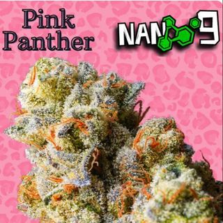 Cogollo de Flor Pink Panther X NANO 9 1G