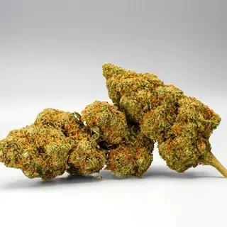 Cali Orange Gelatto Nano9 1g
