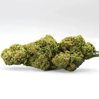 Pistacho Cream CBD x Nano10 al 60% 1G