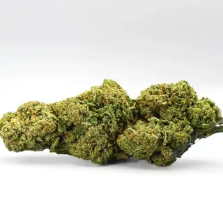 Pistacho Cream CBD x Nano10 al 60% 2G