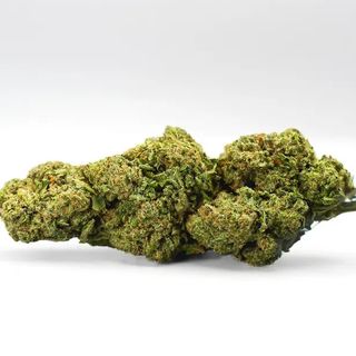 Pistacho Cream CBD x Nano10 al 60% 2G