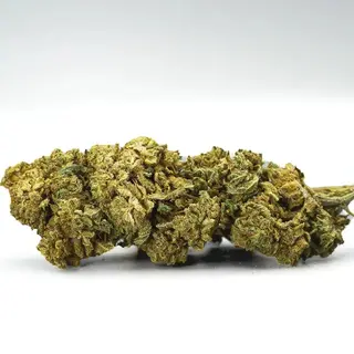 Cogollo de Flor CBD Layer Nano ++ al 75% 2G