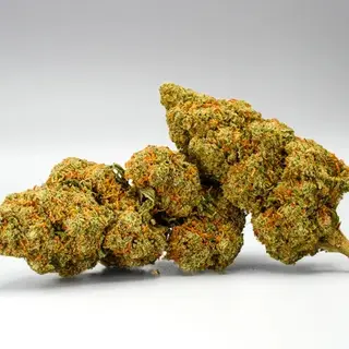 Cali Orange Gelatto Nano9 2g