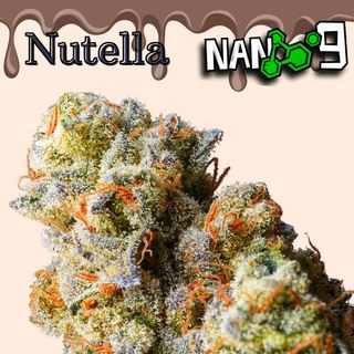 Nutella Nano9 10g