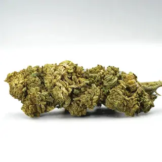 Cogollo de Flor CBD Layer Nano ++ al 75% 1G